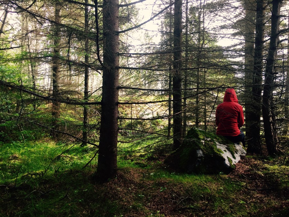 Tyck om det som är&nbsp;fult